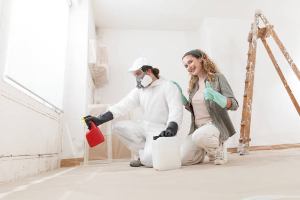 Best Asbestos and Lead Testing During Mold Inspection  in Swifton, AR